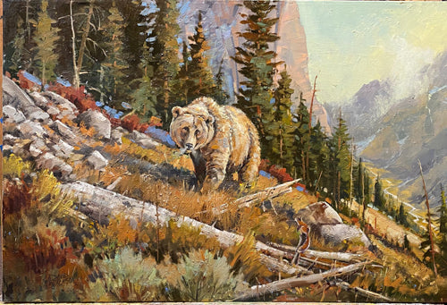 Mountain Memories