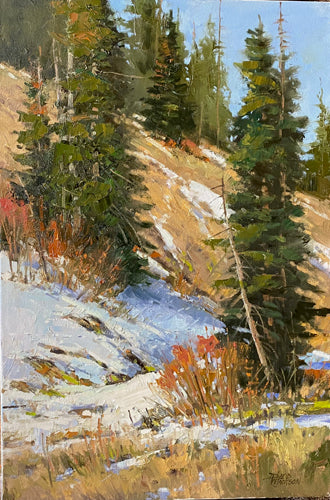 Snowbasin Hillside