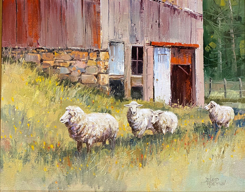 Woolly Babes