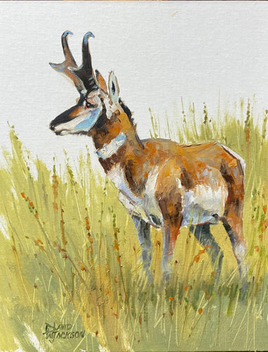 Prairie Warrior