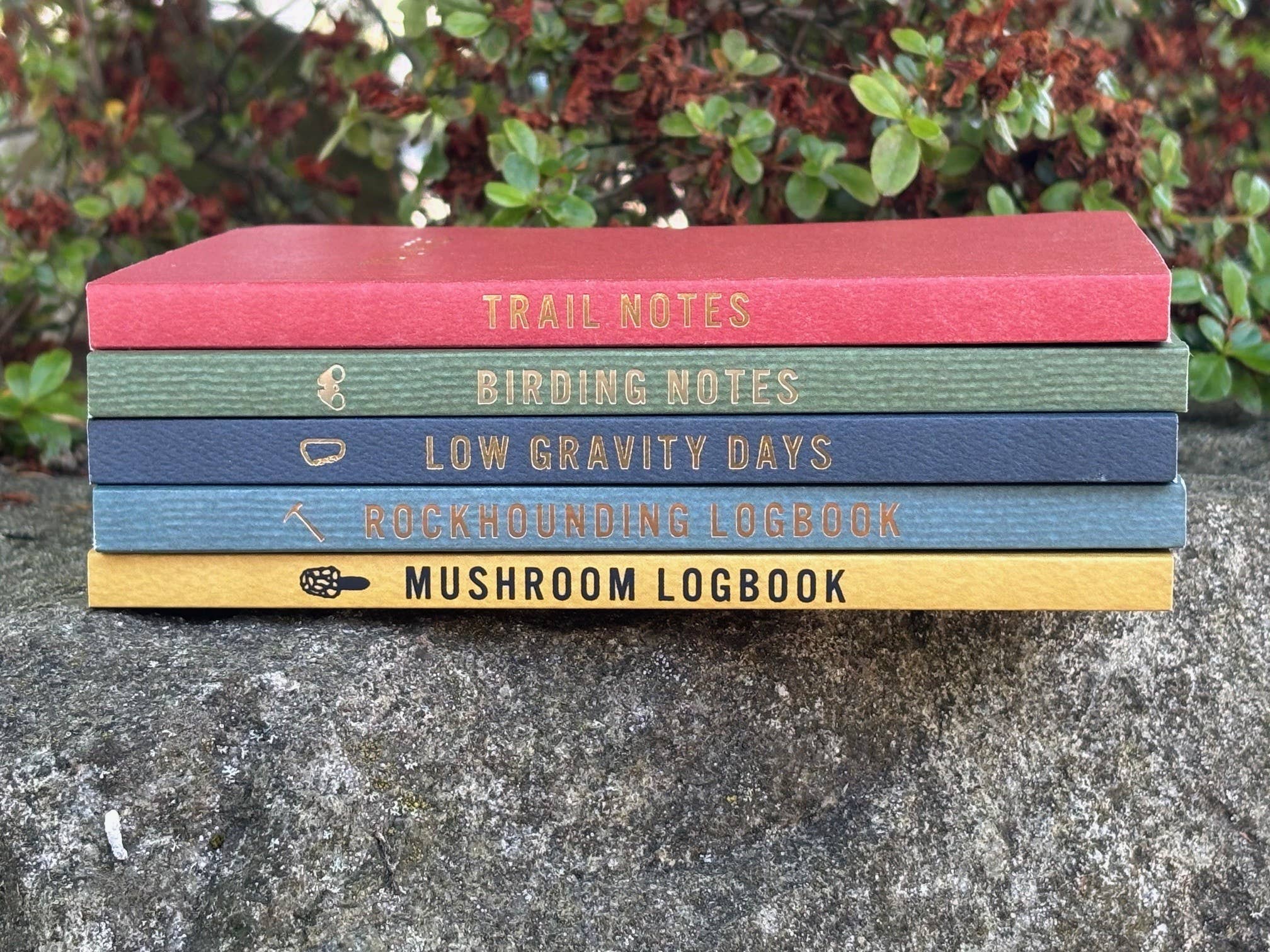 Low Gravity Days