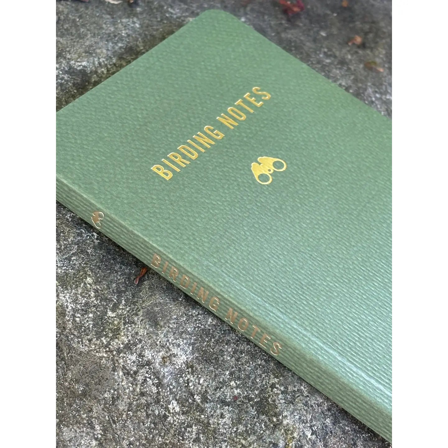 Birding Notes Journal