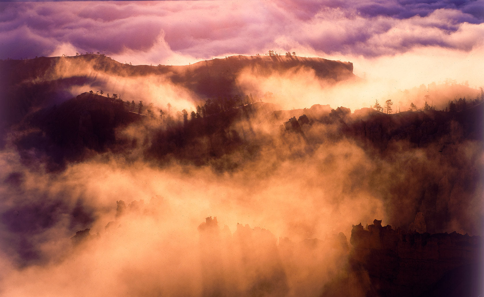 Bryce Canyon Fog