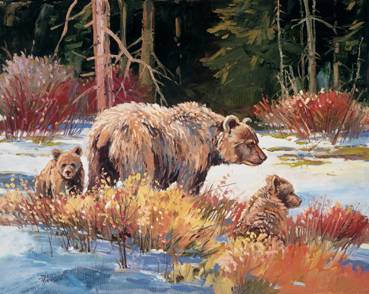Grizzly Mom & Cubs