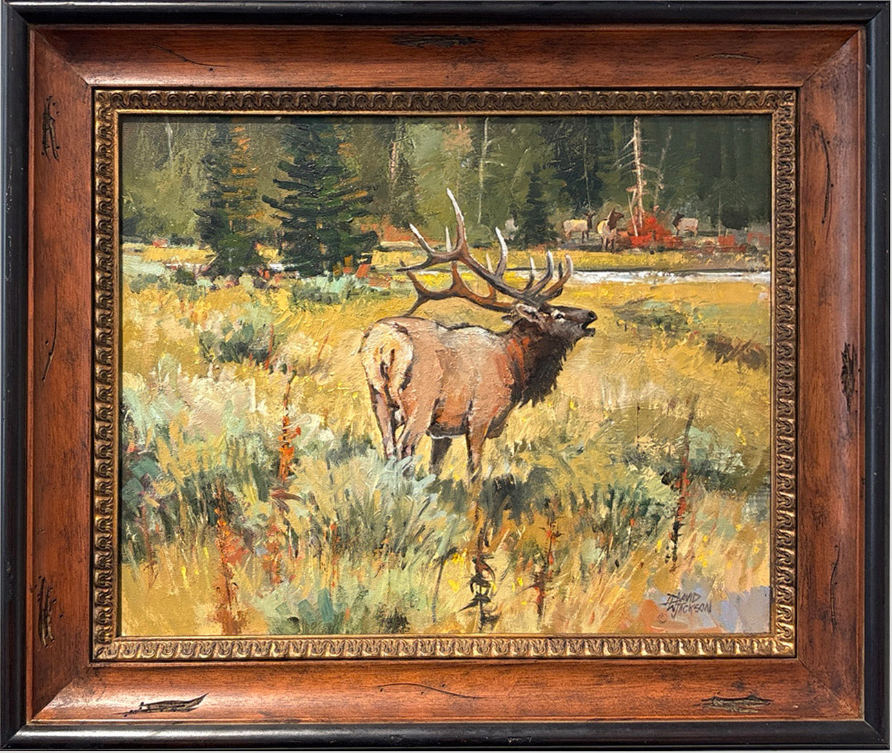 Meadow Watch