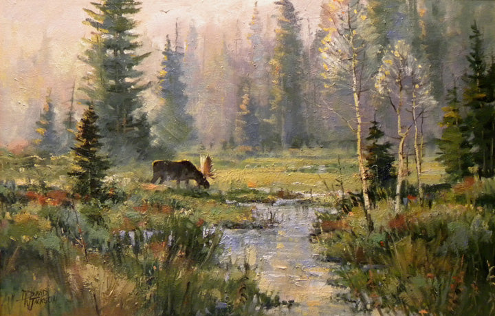 Moose in Teton Meadow