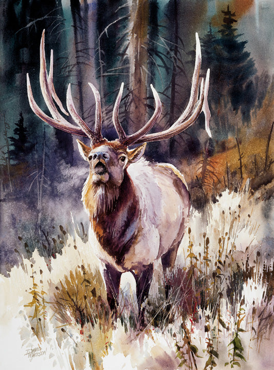 Morning Bugler