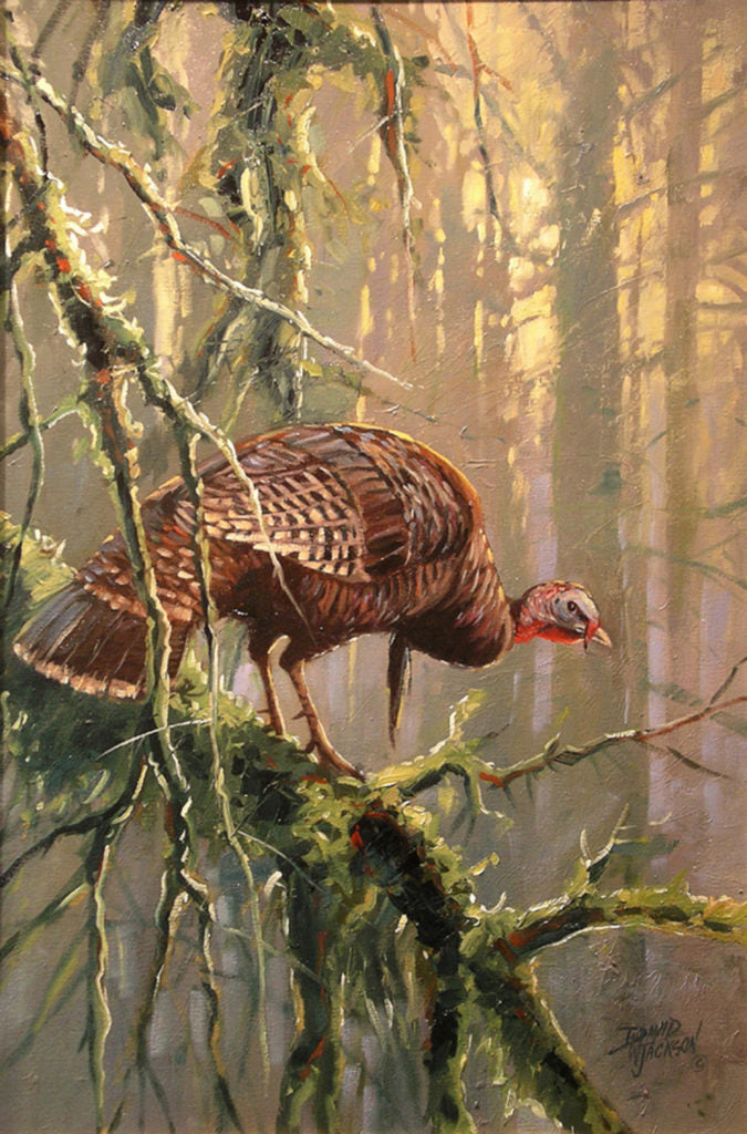 Morning Roost