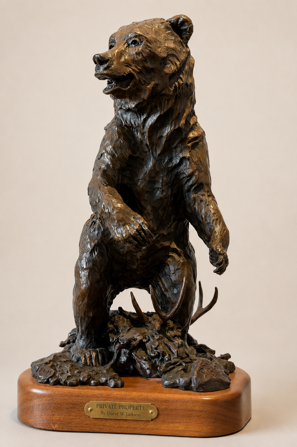 Private Property Bronze