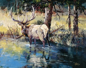 September Reflections