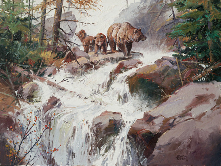 Spring Runoff