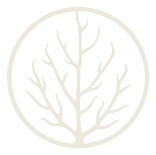 The Wild Luxe Gallery