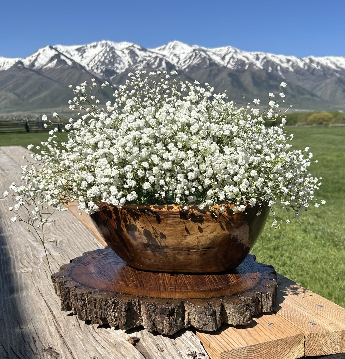 Wooden Bowl
