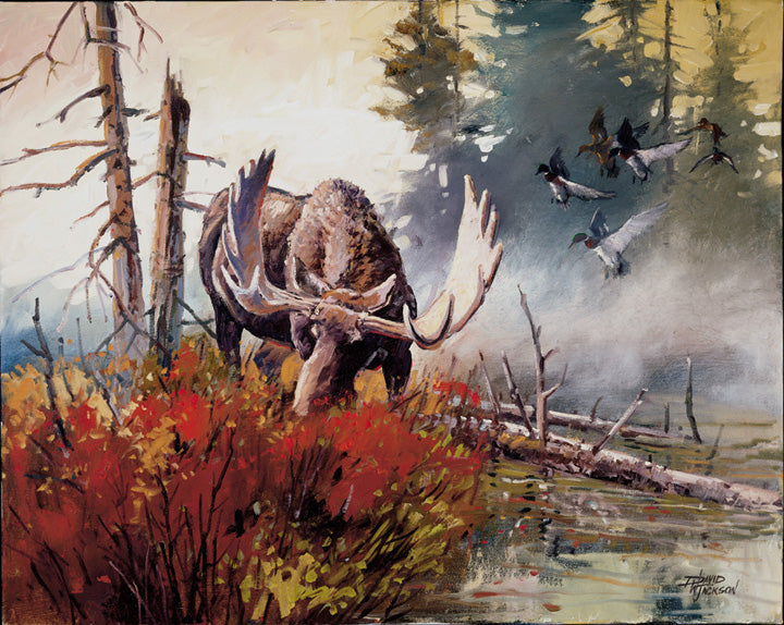 Wyoming Bruiser