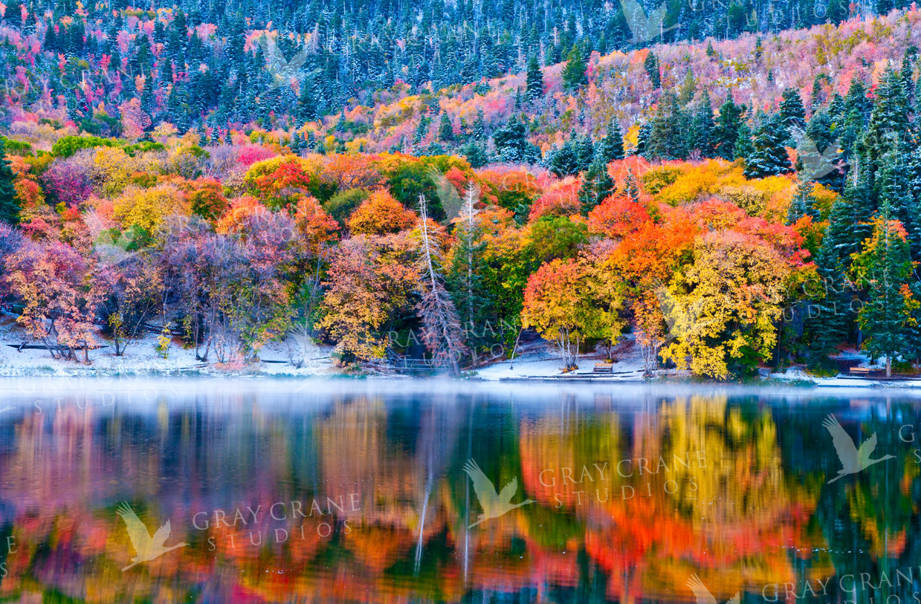 Autumn Lake