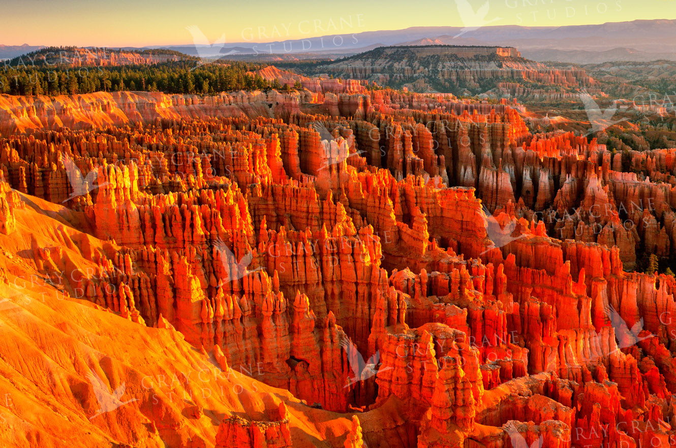 Bryce Sunrise