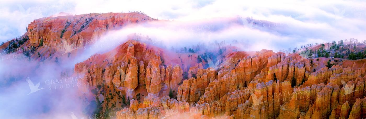 Cloudy Bryce