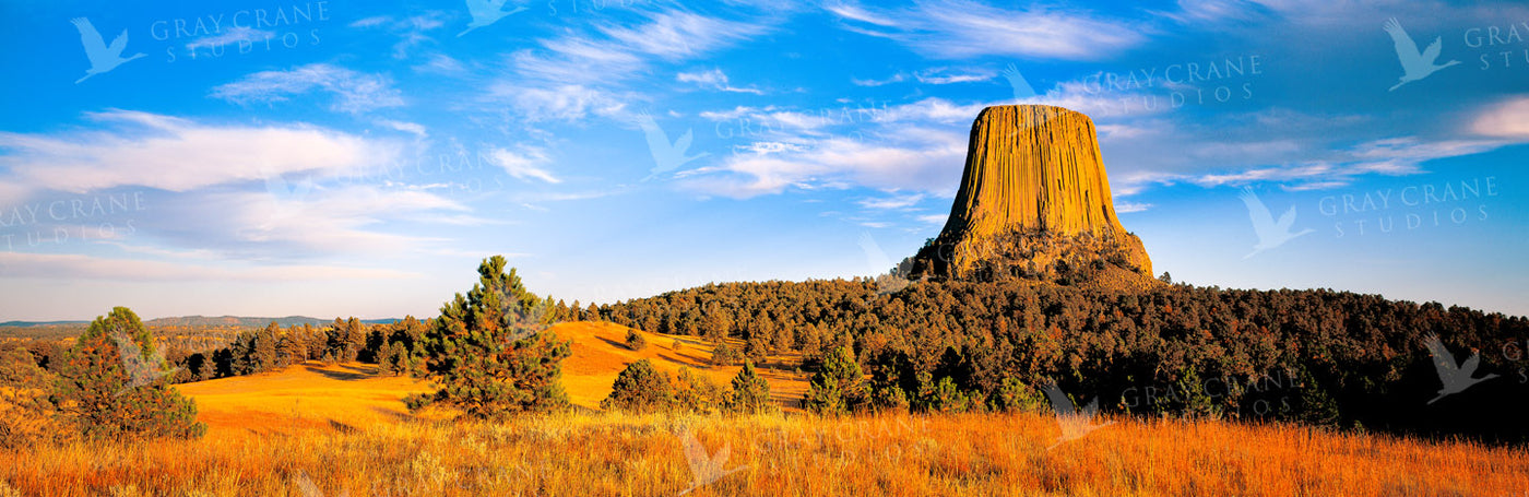 Grey Butte