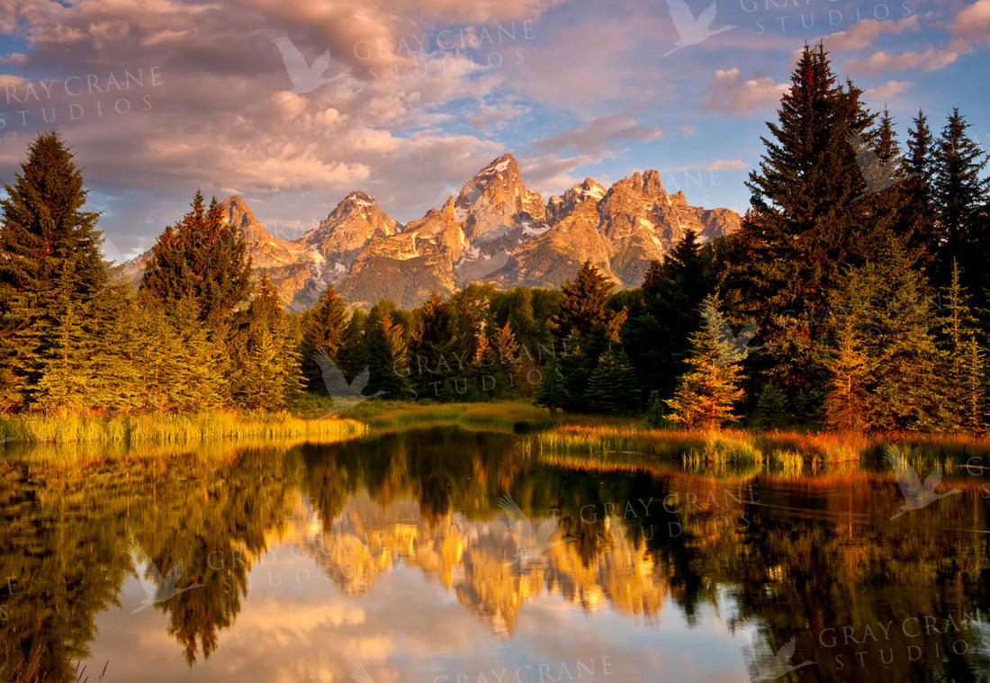 Morning Calm