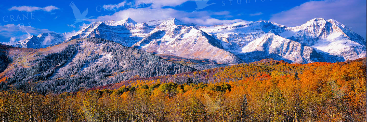 Sundance