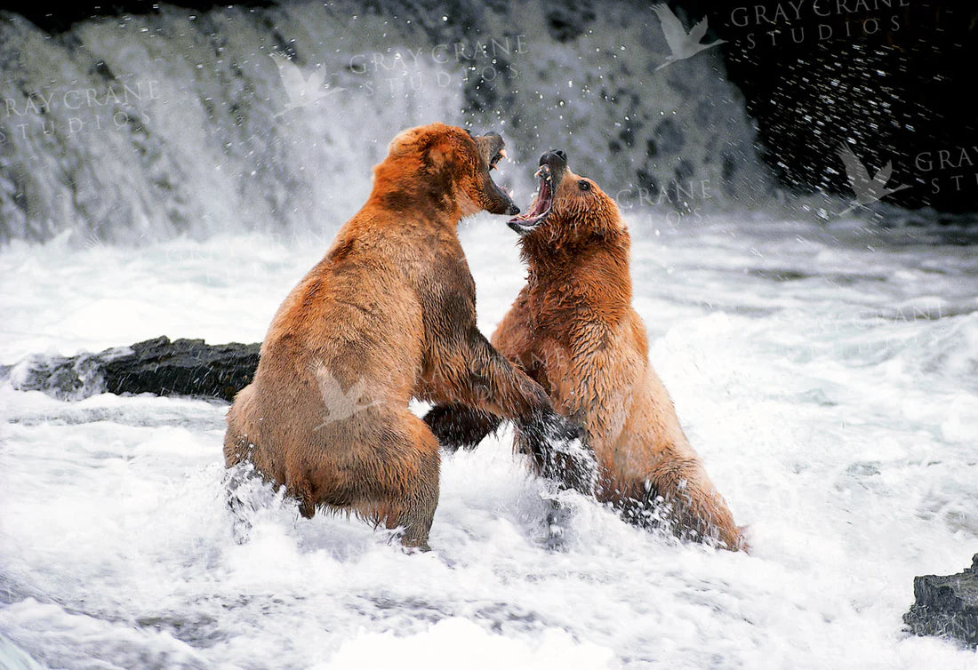 Water Rites