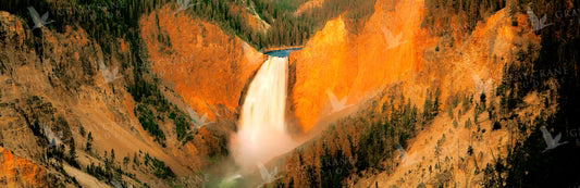 Yellowstone Falls